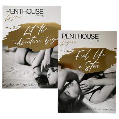 Penthouse - Specialní sada pro intimní potěšení