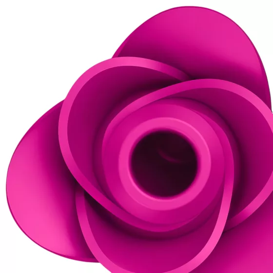 Satisfyer Pro 2 Modern Blossom - stimulátor klitorisu s tlakovými vlnami (růžový)