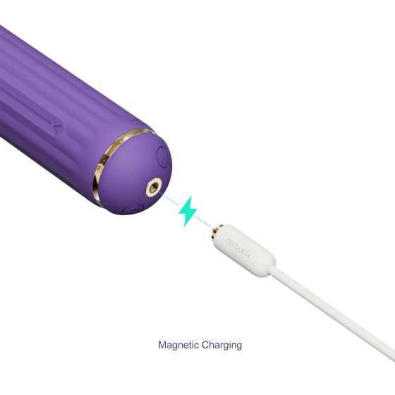 Magic Stick - vibrátor s vyměnitelnými nástavci (fialový)
