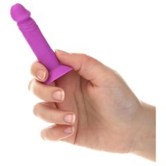   Silly Willy - silikonové dildo s přísavkou - 12 ks (barevné)