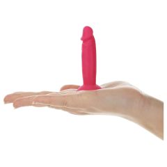   Silly Willy - silikonové dildo s přísavkou - 12 ks (barevné)