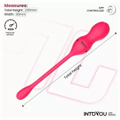   INTOYOU Kyra Pelvic - vibrační venušiny kuličky ovládané aplikací (růžové)