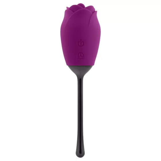 Playboy - vibrátor s jazýčkem - vodotěsný, nabíjecí - fialový