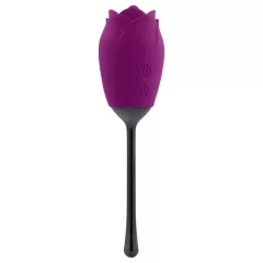   Playboy - vibrátor s jazýčkem - vodotěsný, nabíjecí - fialový