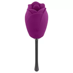   Playboy - vibrátor s jazýčkem - vodotěsný, nabíjecí - fialový