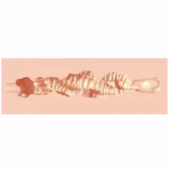   XKIN - realistický umělý ústní masturbátor - S (přírodní)