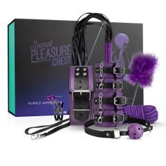   Secret Pleasure Chest - BDSM sada pro pokročilé - 14 dílů