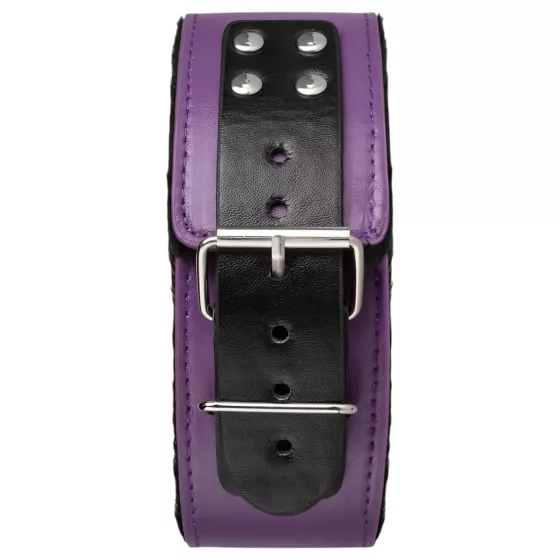 Secret Pleasure Chest - pokročilá BDSM sada (14dílná)