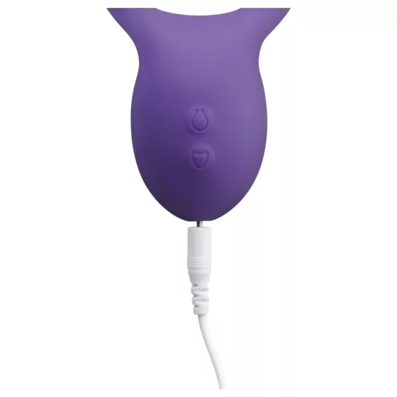 Teazers Partner Multifun - párový vibrátor (fialový)