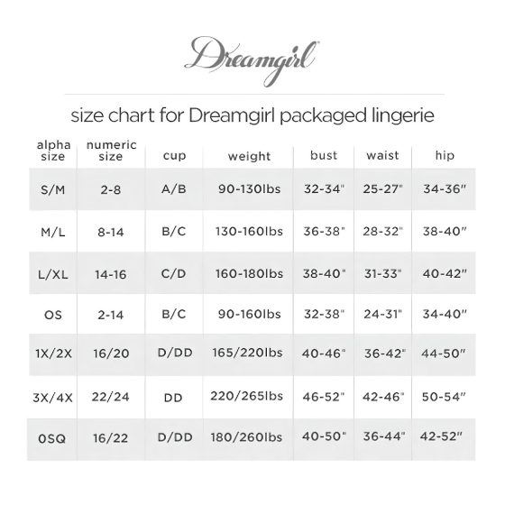 Dreamgirls Pokojská Plus Size Průhledná Síťovina - kostým pokojské (XL-XXL)